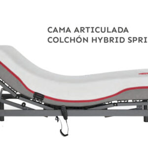 cama+spring